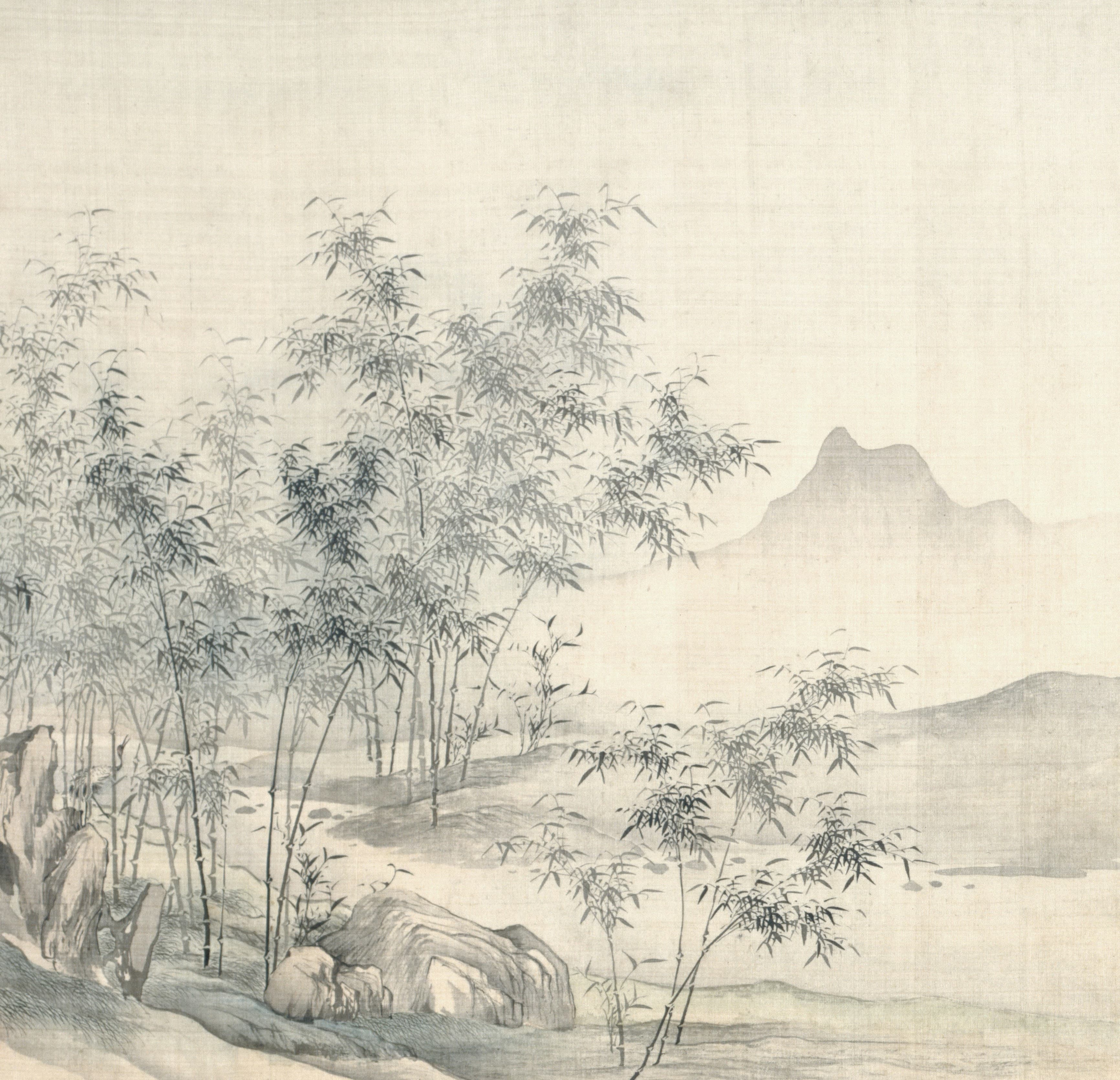 Bamboo landscape